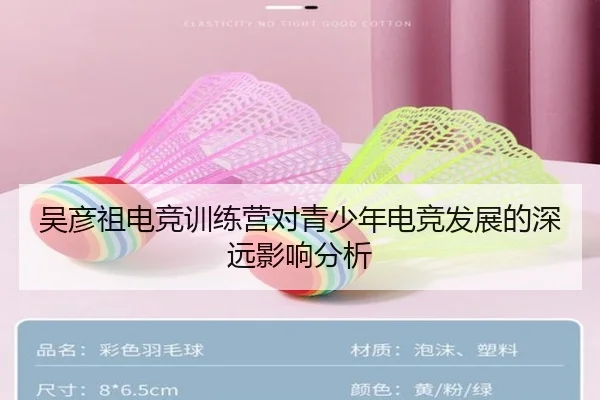 吴彦祖电竞训练营对青少年电竞发展的深远影响分析