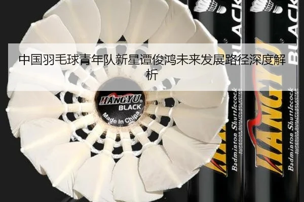 中国羽毛球青年队新星谭俊鸿未来发展路径深度解析
